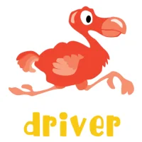 DD Driver