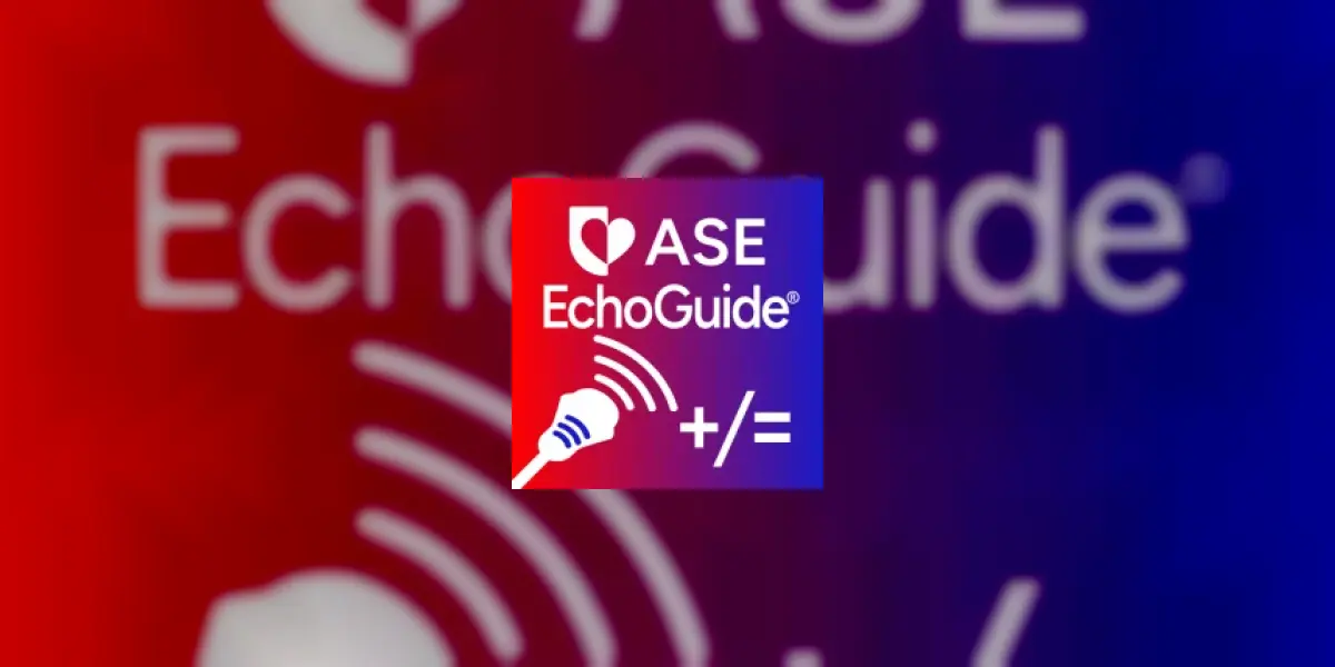 EchoGuide by ASE